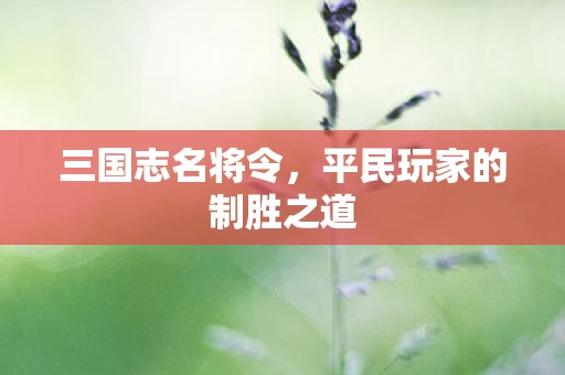 三国志名将令,平民玩家的制胜之道 三国志名将令,平民玩家的制胜之道