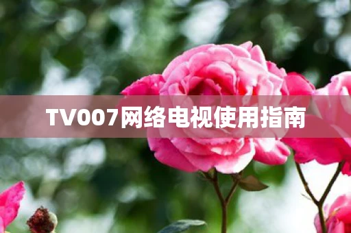 TV007网络电视使用指南