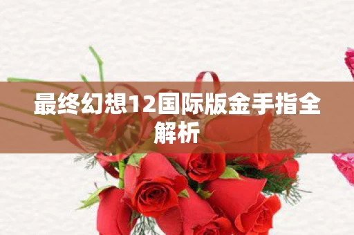 最终幻想12国际版金手指全解析