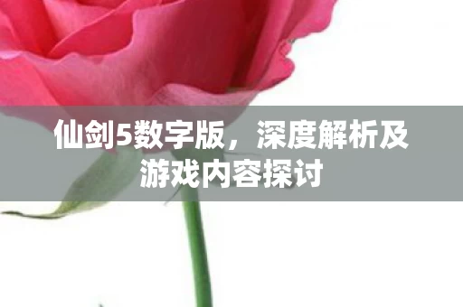 仙剑5数字版,深度解析及游戏内容探讨 仙剑5数字版,深度解析及游戏内容探讨