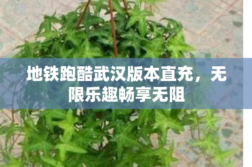 地铁跑酷武汉版本直充图片