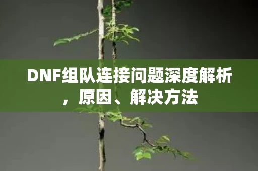 DNF组队连接问题深度解析，原因、解决方法