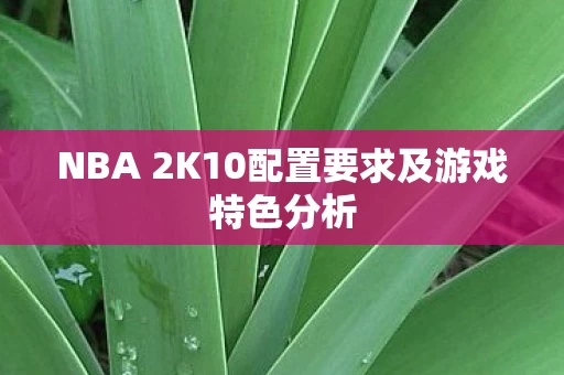 NBA 2K10配置要求及游戏特色分析图片