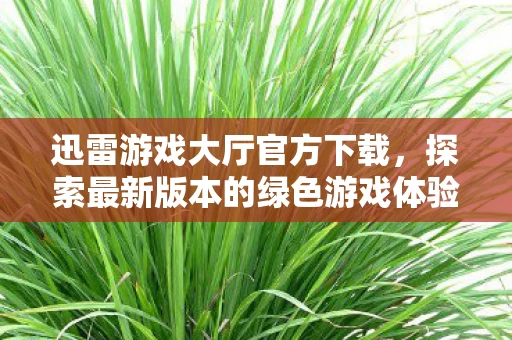 迅雷游戏大厅官方下载,探索最新版本的绿色游戏体验 迅雷游戏大厅官方下载,探索最新版本的绿色游戏体验