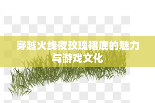 穿越火线夜玫瑰裙底的魅力与游戏文化图片