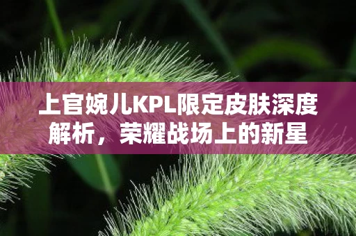 上官婉儿KPL限定皮肤深度解析图片