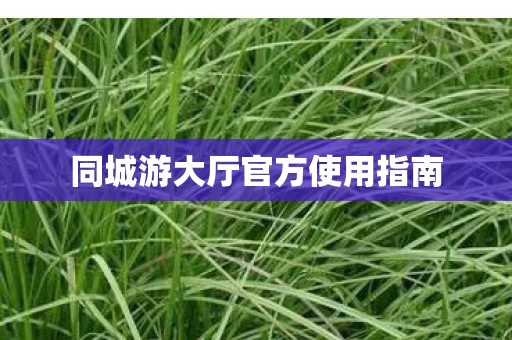 同城游大厅官方使用指南图片