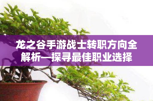 龙之谷手游战士转职方向全解析图片