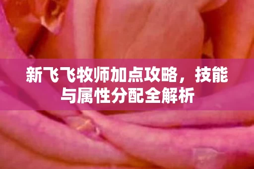 技能与属性分配全解析图片