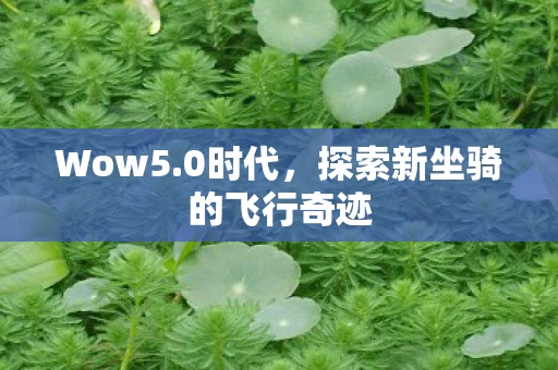 探索新坐骑的飞行奇迹图片