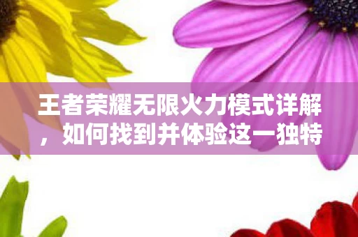 如何找到并体验这一独特玩法图片
