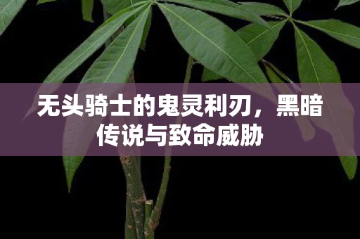 无头骑士的鬼灵利刃图片