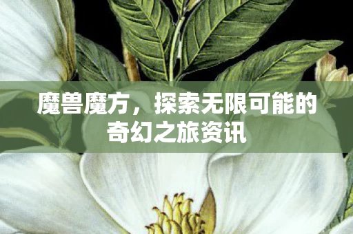 探索无限可能的奇幻之旅资讯图片