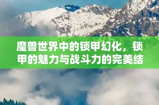 锁甲的魅力与战斗力的完美结合图片
