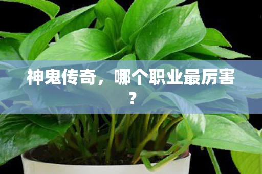 哪个职业最厉害图片
