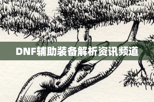 DNF辅助装备解析资讯频道图片
