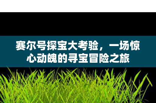 一场惊心动魄的寻宝冒险之旅图片