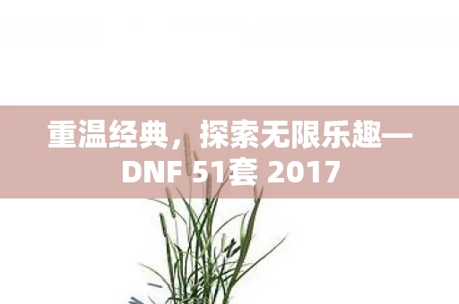 DNF 51套 2017图片