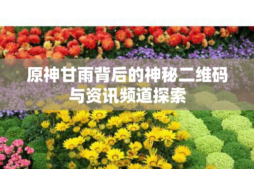 原神甘雨背后的神秘二维码与资讯频道探索图片
