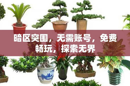 暗区突围图片
