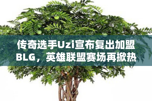 传奇选手Uzi宣布复出加盟BLG图片