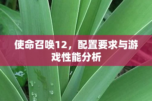 配置要求与游戏性能分析图片