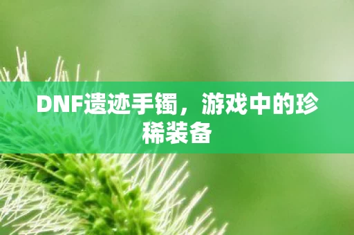 游戏中的珍稀装备图片