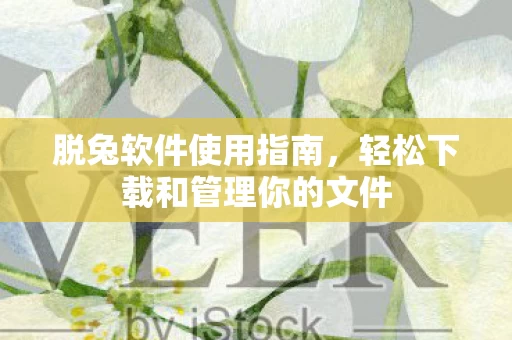 轻松下载和管理你的文件图片