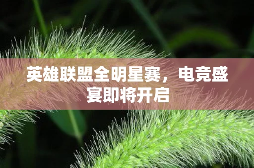 英雄联盟全明星赛图片