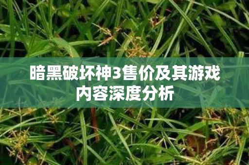 暗黑破坏神3售价及其游戏内容深度分析图片