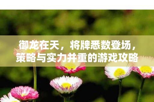 策略与实力并重的游戏攻略图片
