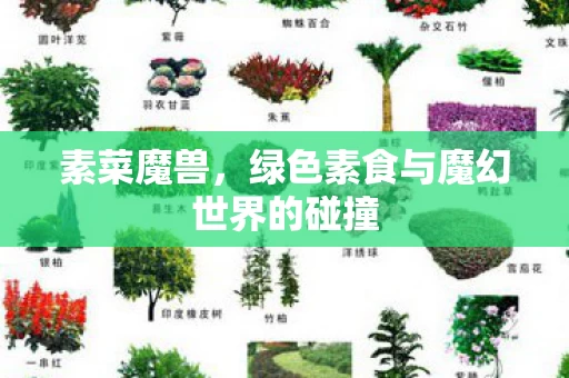 绿色素食与魔幻世界的碰撞图片