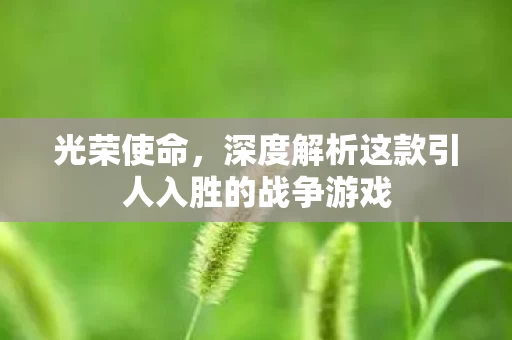 深度解析这款引人入胜的战争游戏图片