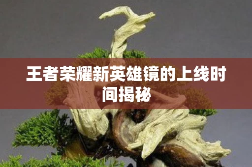王者荣耀新英雄镜的上线时间揭秘图片