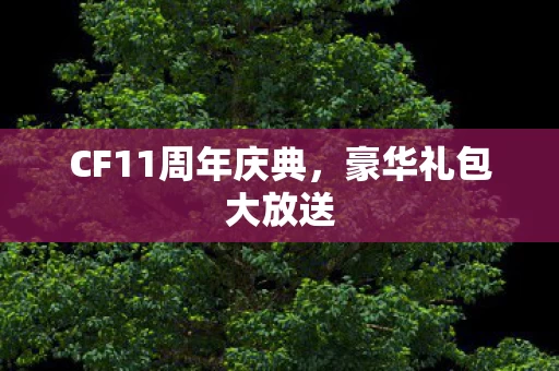 CF11周年庆典图片