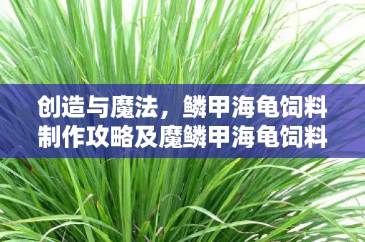 鳞甲海龟饲料制作攻略及魔鳞甲海龟饲料创造之旅图片