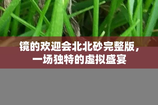 镜的欢迎会北北砂完整版图片