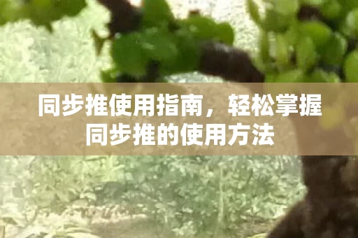 轻松掌握同步推的使用方法图片