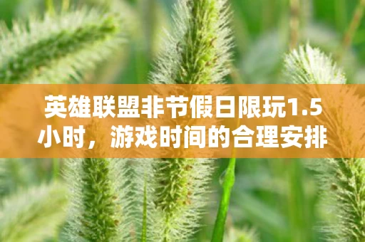 英雄联盟非节假日限玩1图片