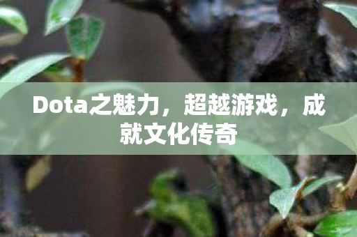 Dota之魅力图片