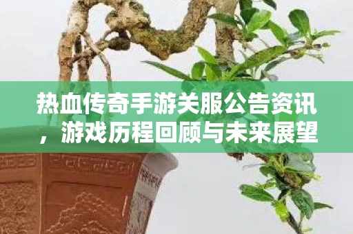 热血传奇手游关服公告资讯图片