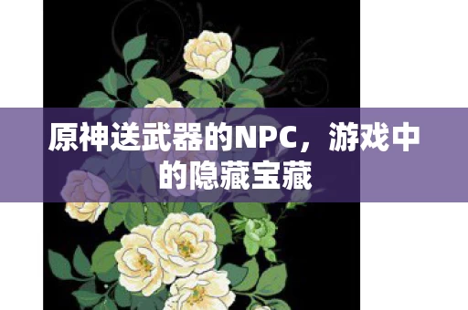原神送武器的NPC图片