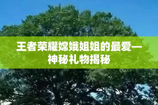 王者荣耀嫦娥姐姐的最爱图片