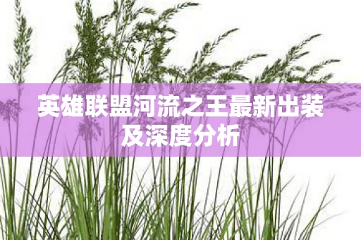 英雄联盟河流之王最新出装及深度分析图片