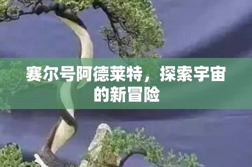 探索宇宙的新冒险图片