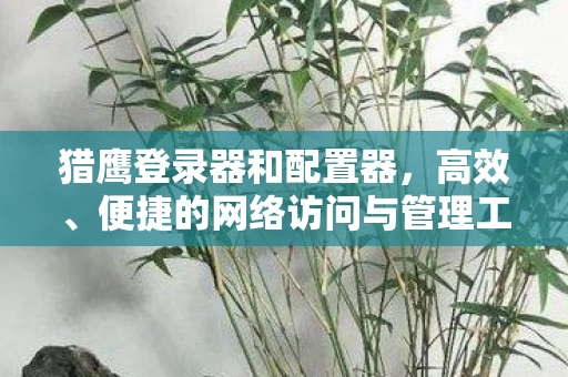 便捷的网络访问与管理工具图片