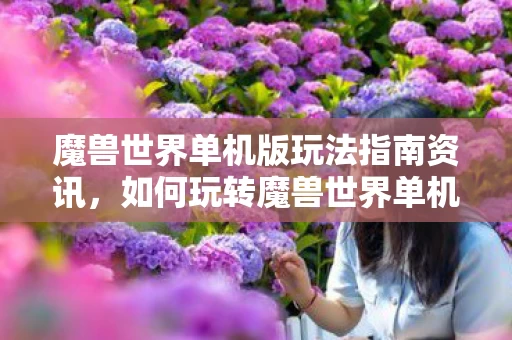 魔兽世界单机版玩法指南资讯图片