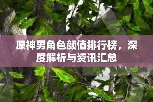 原神男角色颜值排行榜图片