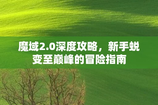 新手蜕变至巅峰的冒险指南图片