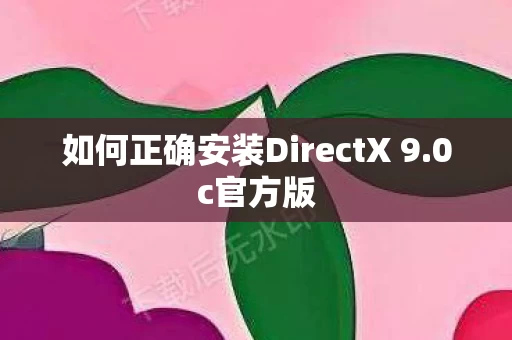 如何正确安装DirectX 9图片
